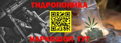 прущие грибы Гусиноозёрск