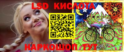 прущие грибы Гусиноозёрск
