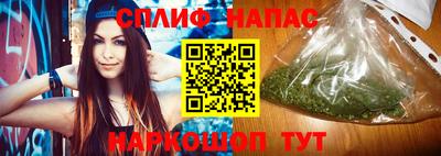 прущие грибы Гусиноозёрск