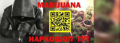 прущие грибы Гусиноозёрск