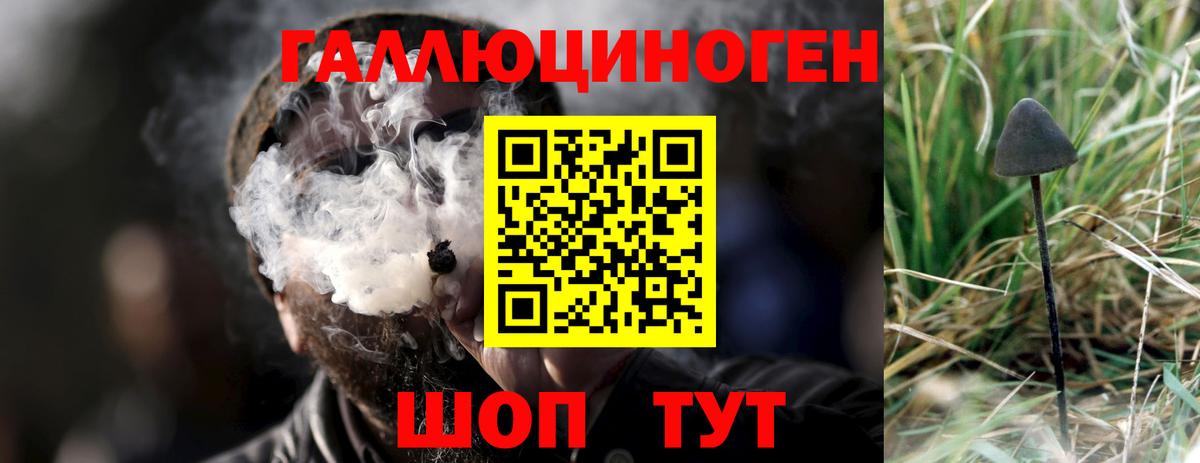Галлюциногенные грибы прущие грибы Миасс